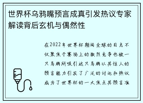 世界杯乌鸦嘴预言成真引发热议专家解读背后玄机与偶然性
